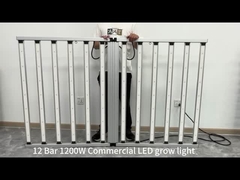 12 Bar 1200W LED grow lights