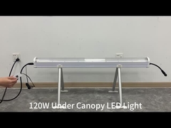 270° under canopy light